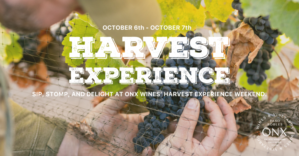 Image of the Harvest Experience header