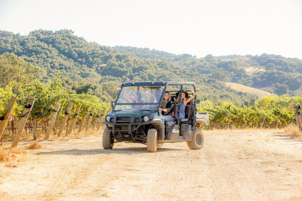 Estate Vineyard Tour
